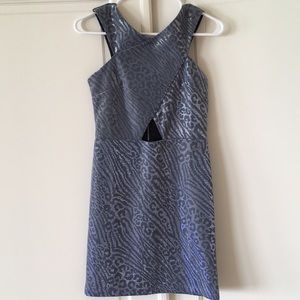 Topshop dress